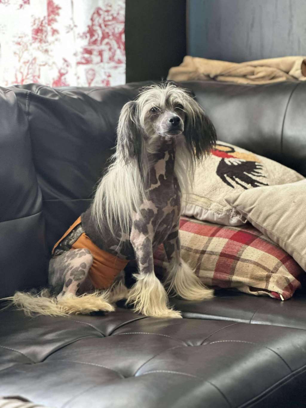 EverCrest's Born to Boggie !