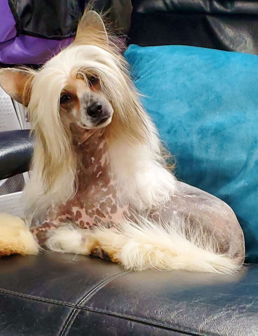 EverCrest's Witchy Woman