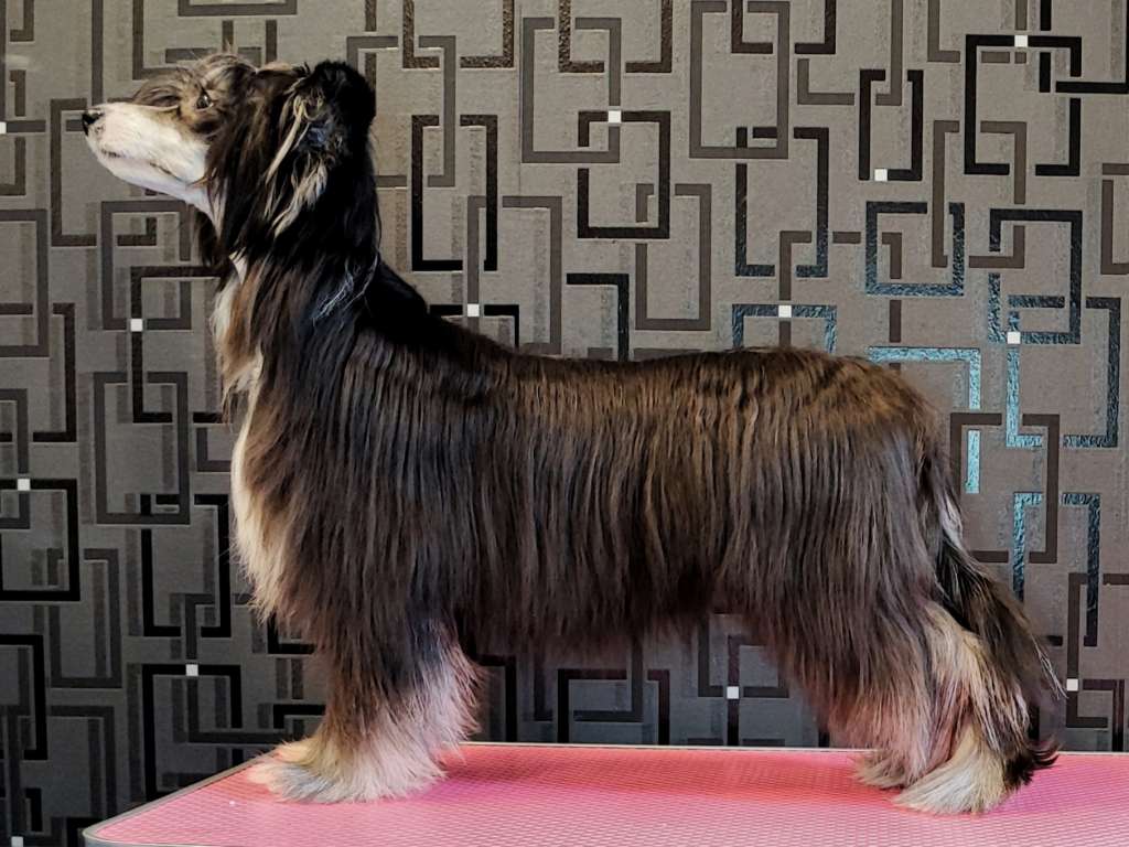 Naked Stars Everything's Better In Purple