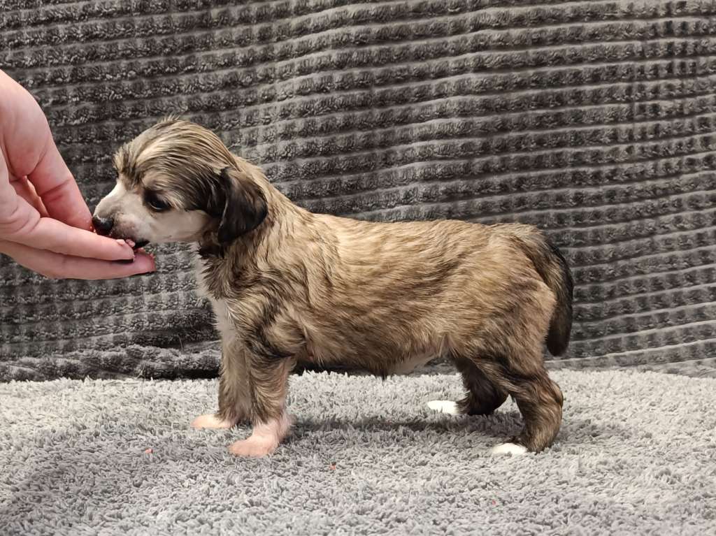 Naked Stars The Power Of Pink