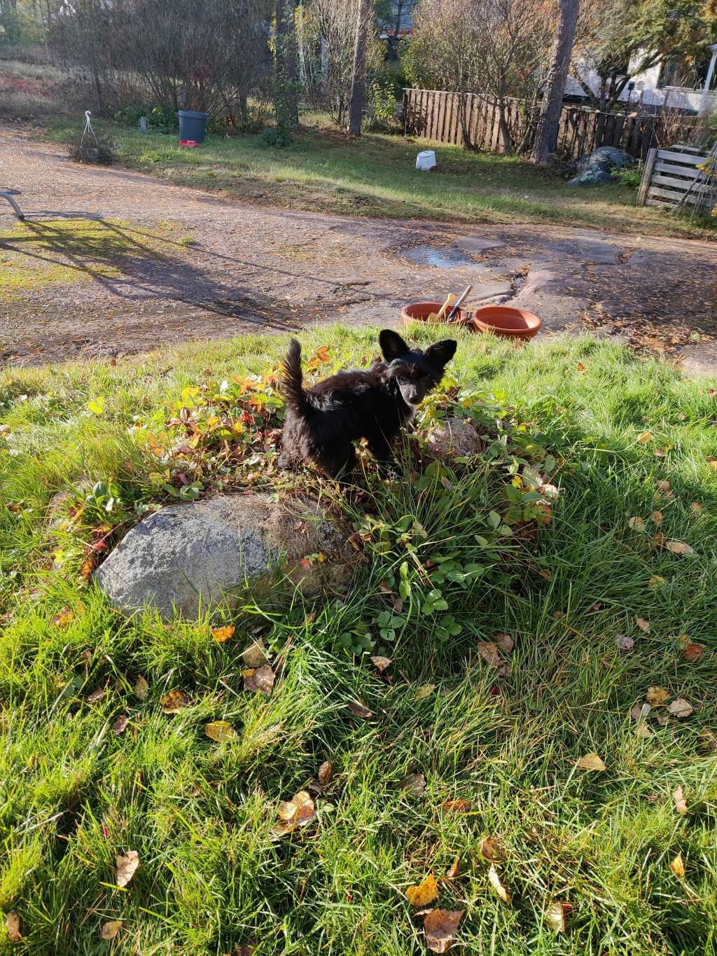 Viavrois Full-time Friday