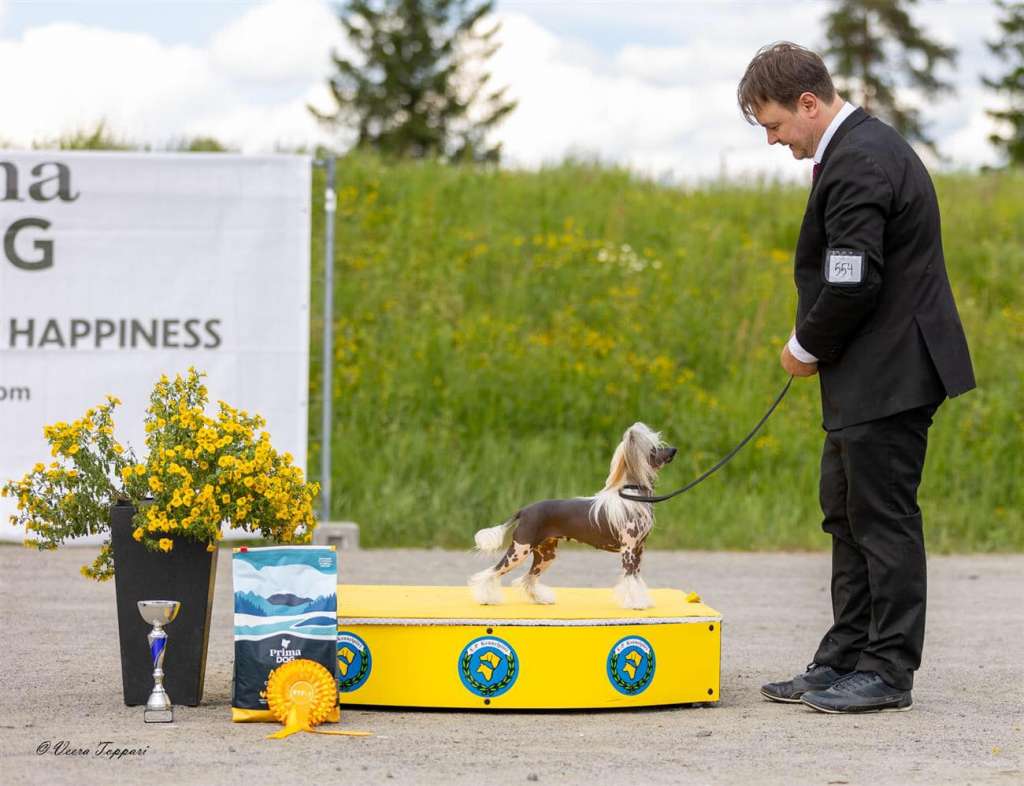 Jamming's Panic Button