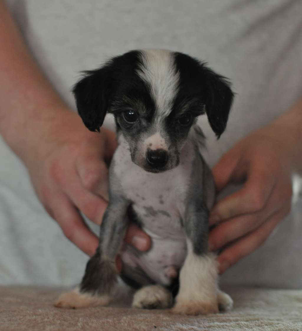 Speechless Fix Me A Drink