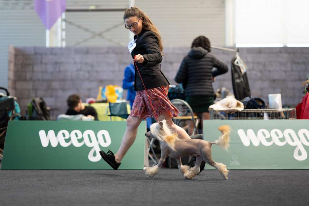 Kojiki's Love Is A Drug