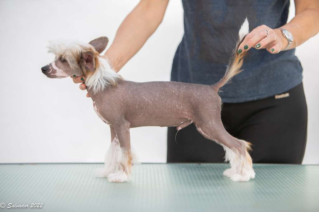 Zelendaya Don't worry be Happy