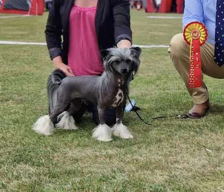 Kalimera's Cap'n Crunch