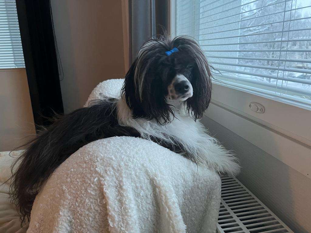 PowerBlackGirls Batman