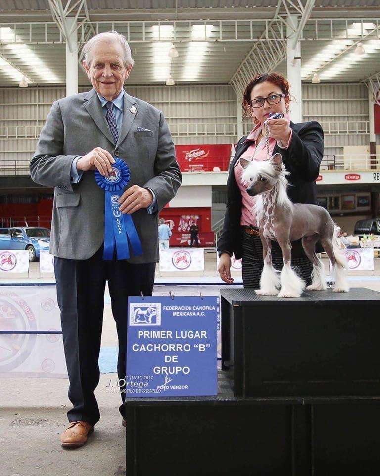 Jack Sparrow (Martinez)