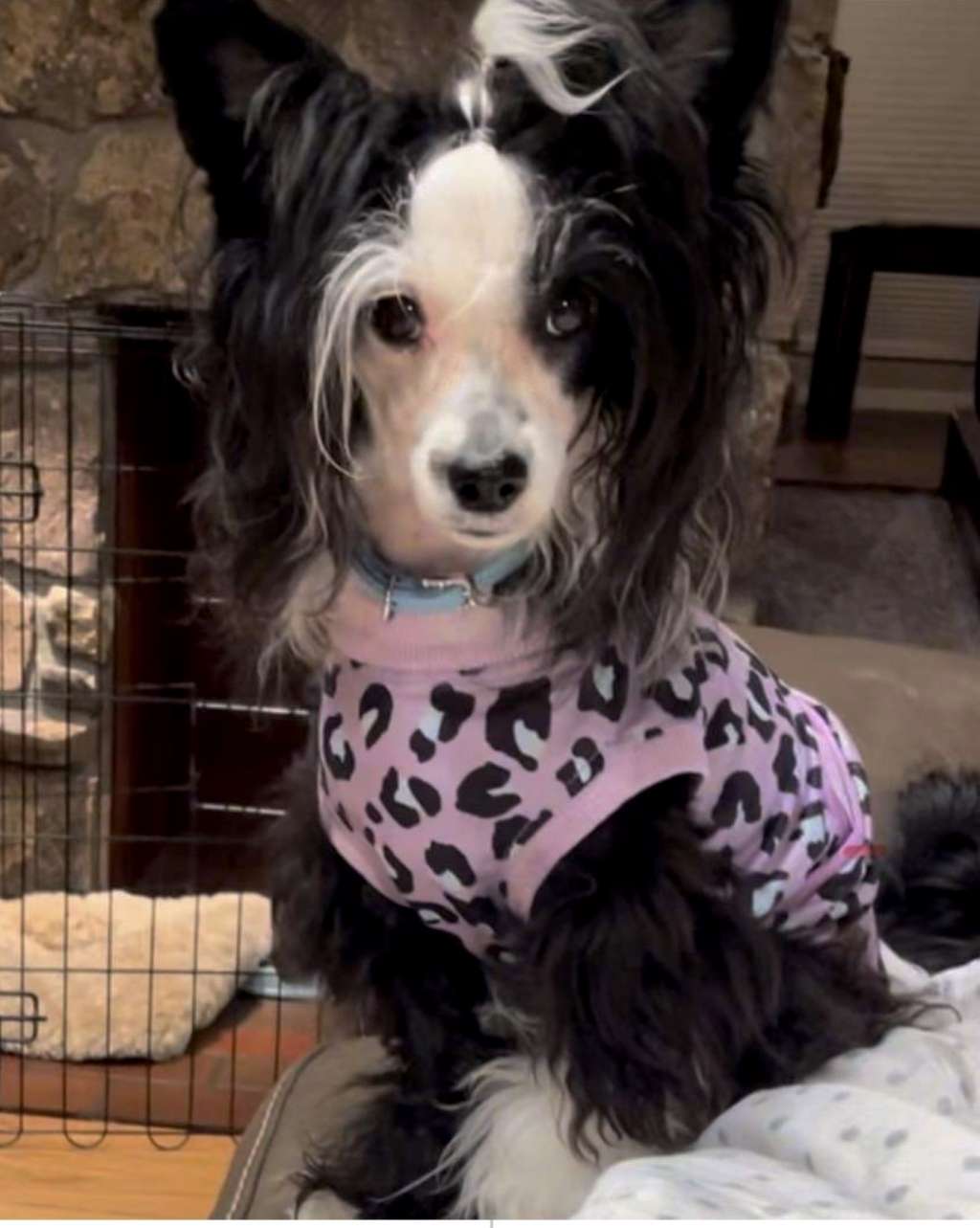 Olyuti's Kiss In The Dark