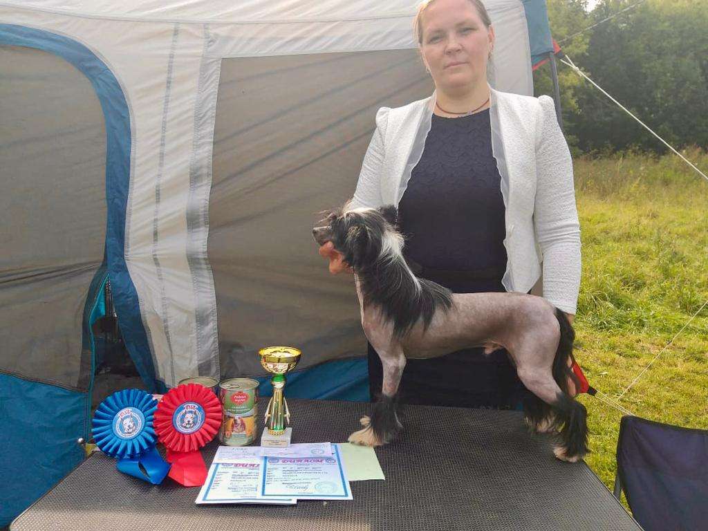 Vellar Pljus Lucian Top El Litta