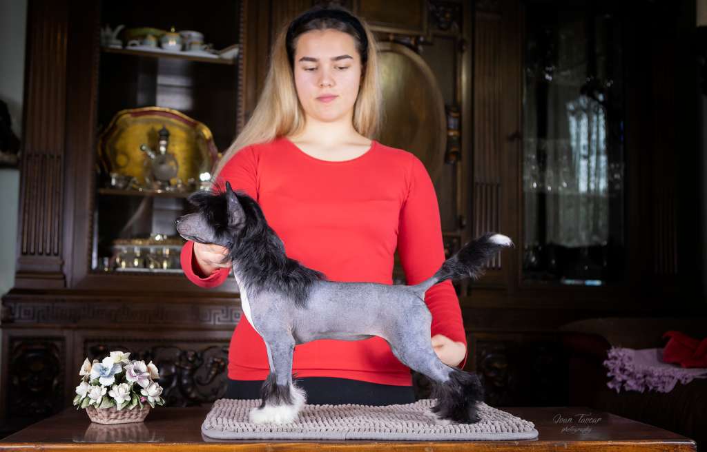 Stars at Sea Without Remorse