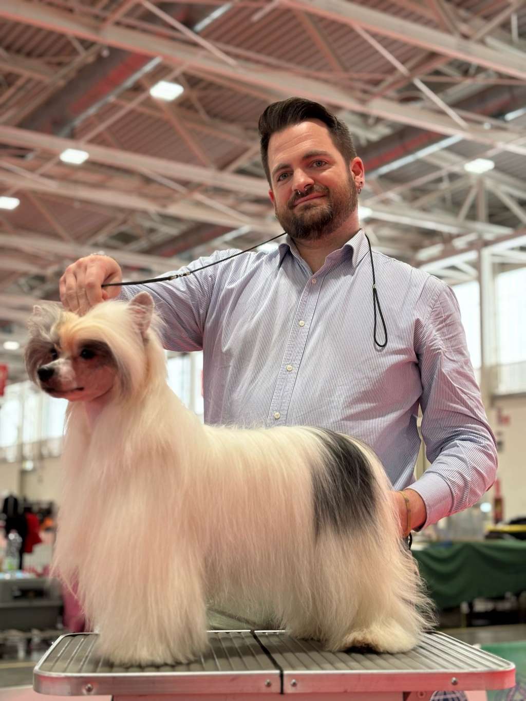 Victory's Laurel Like A Tango