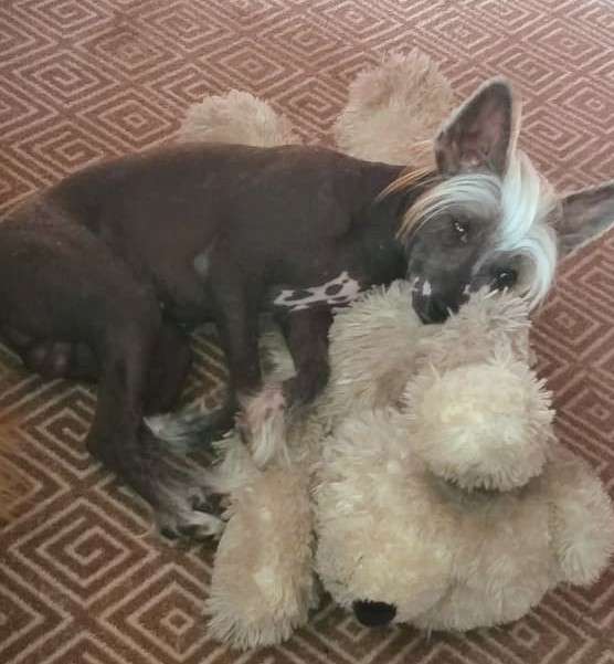 Konan iz Chudnoy Doliny