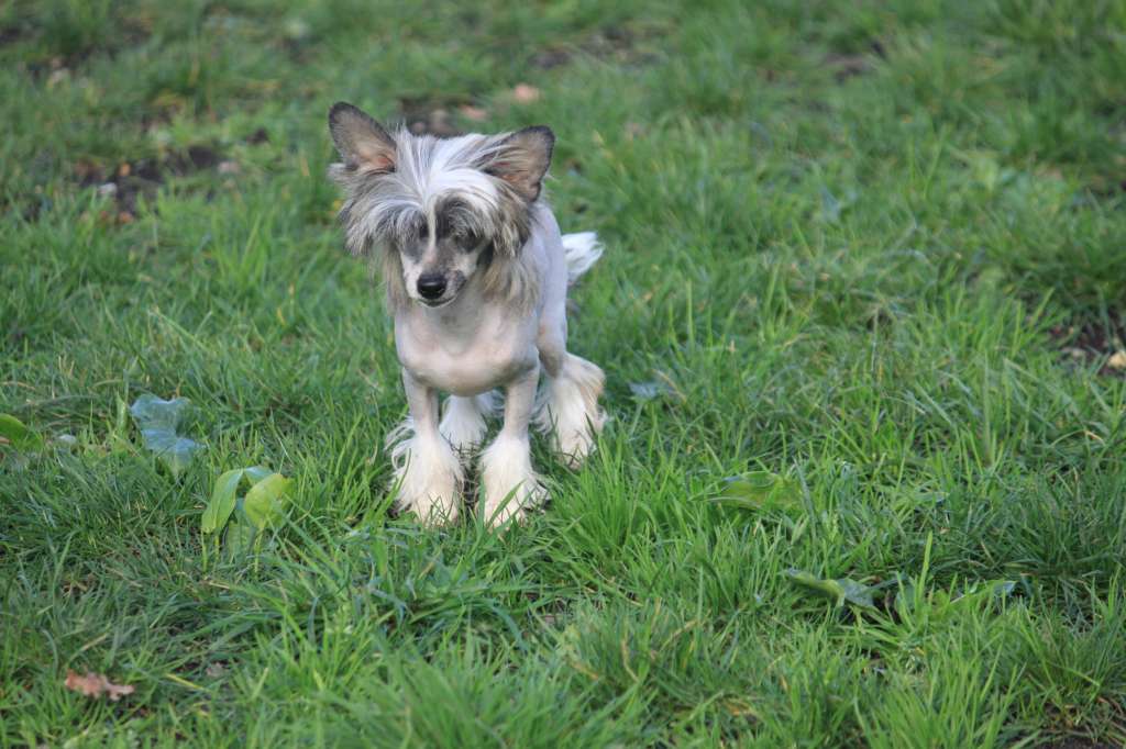 Moon Harbour Torouk Macto