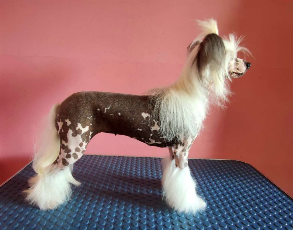 Klementine Crystal Ice