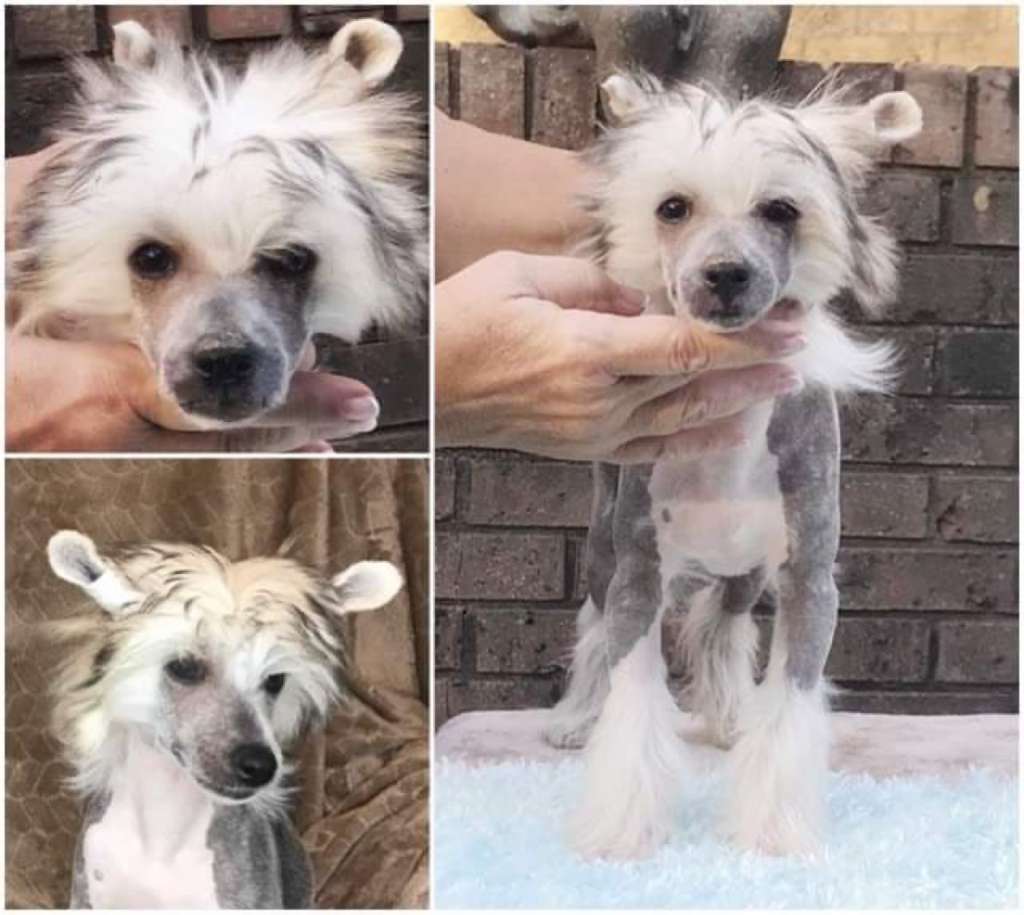 Flying Colors Waterloo