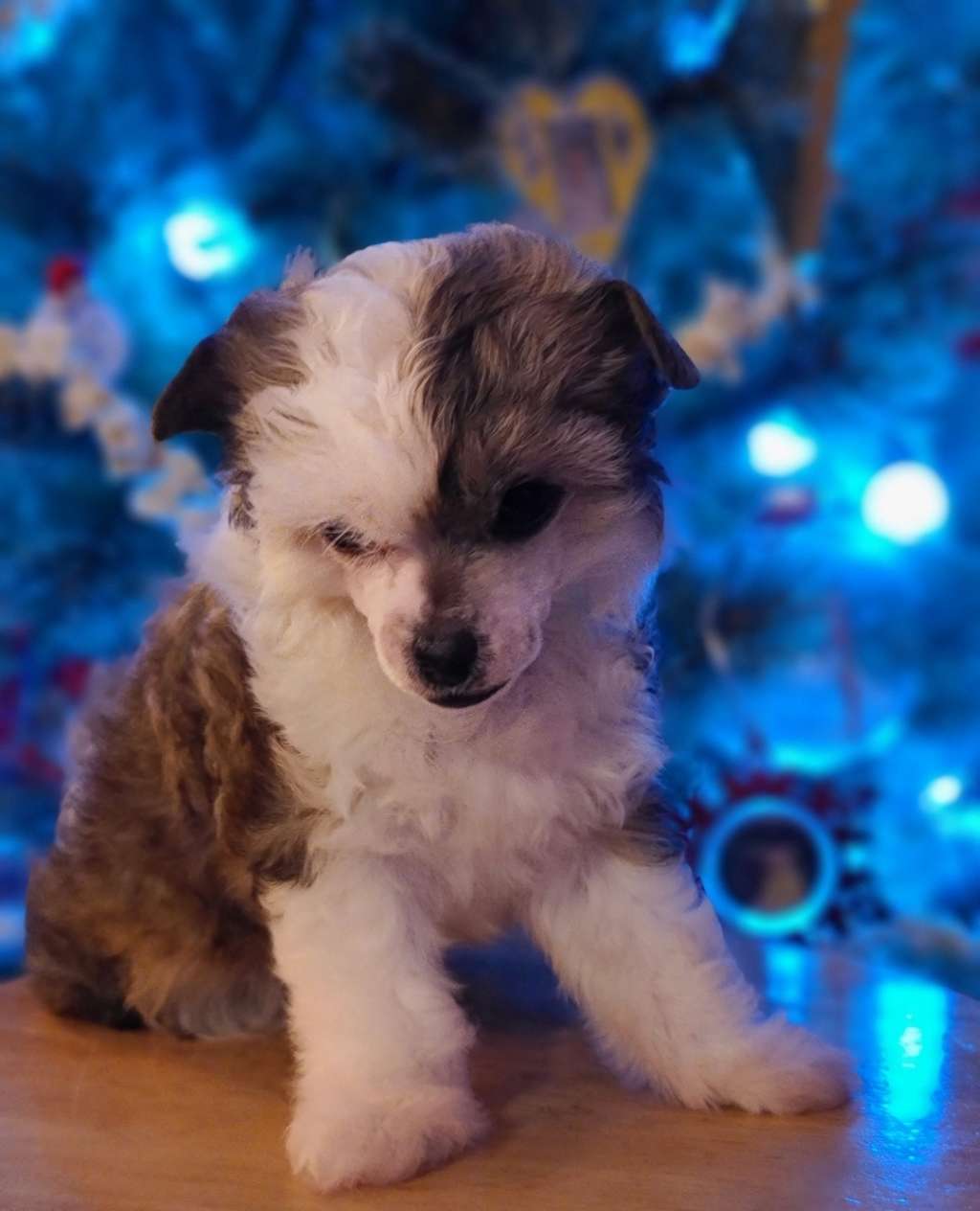 Long Haul's I'm Just U'Nique Enough