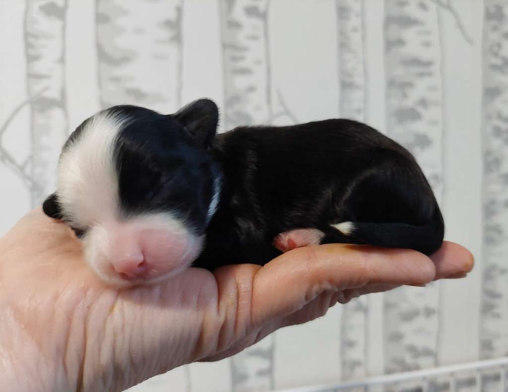 Concrete Clouds Once More With Feeling