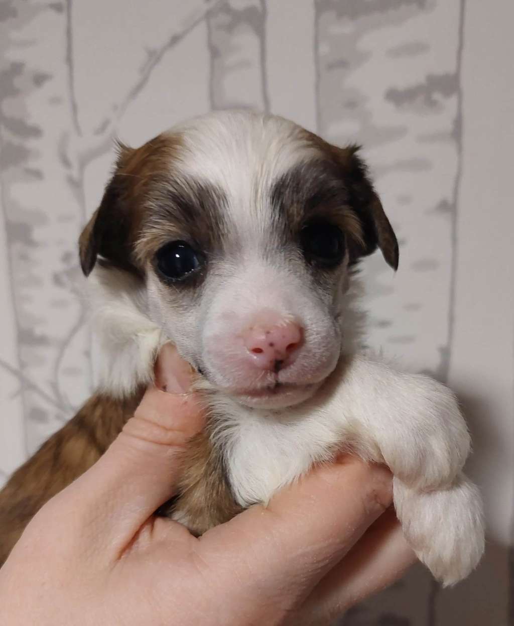 Concrete Clouds Morning Glory