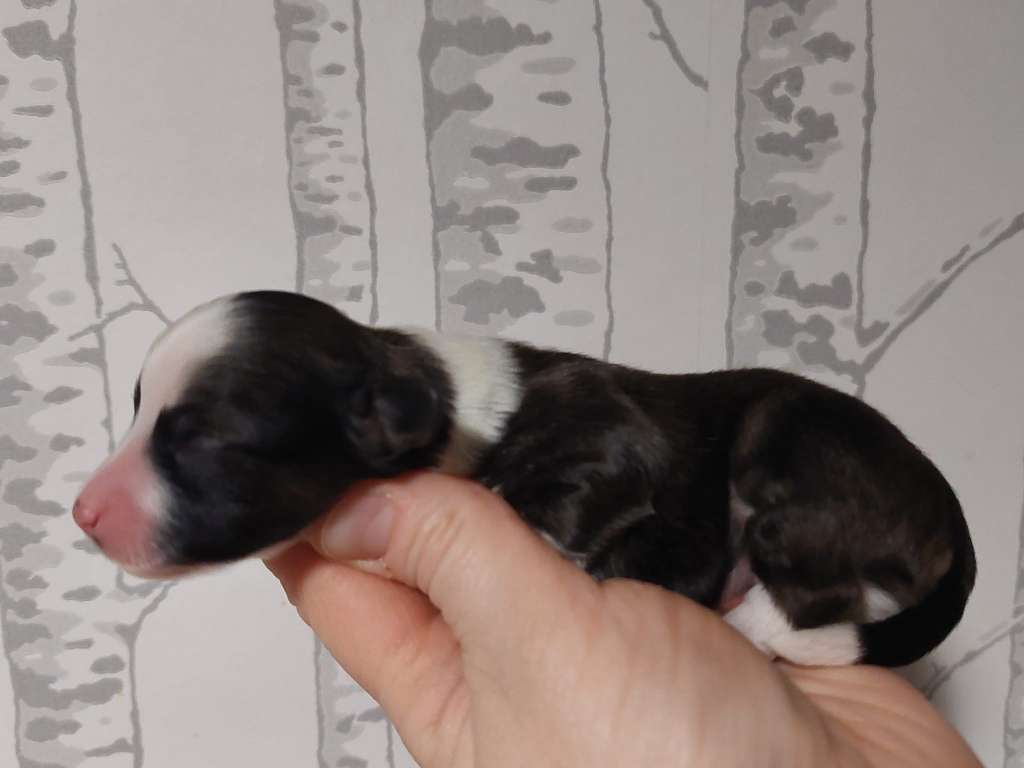 Concrete Clouds Losing My Marbles