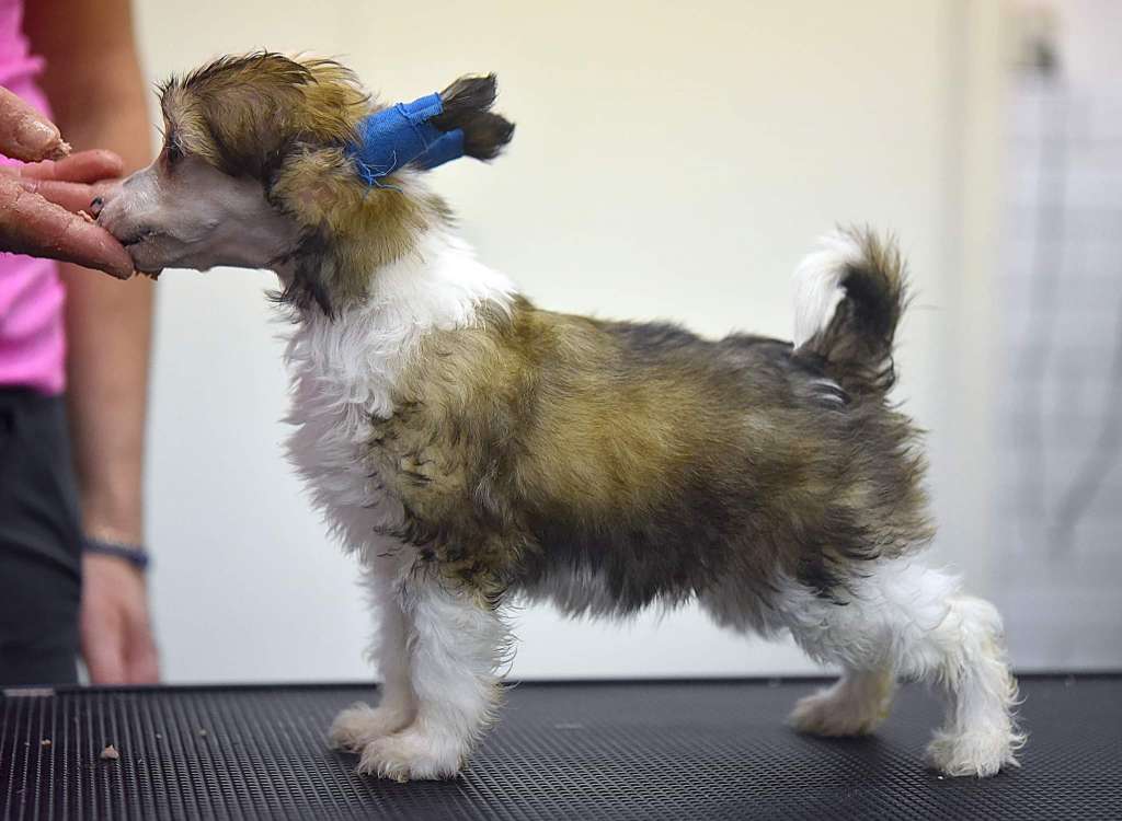 Jean Dark Evening In June