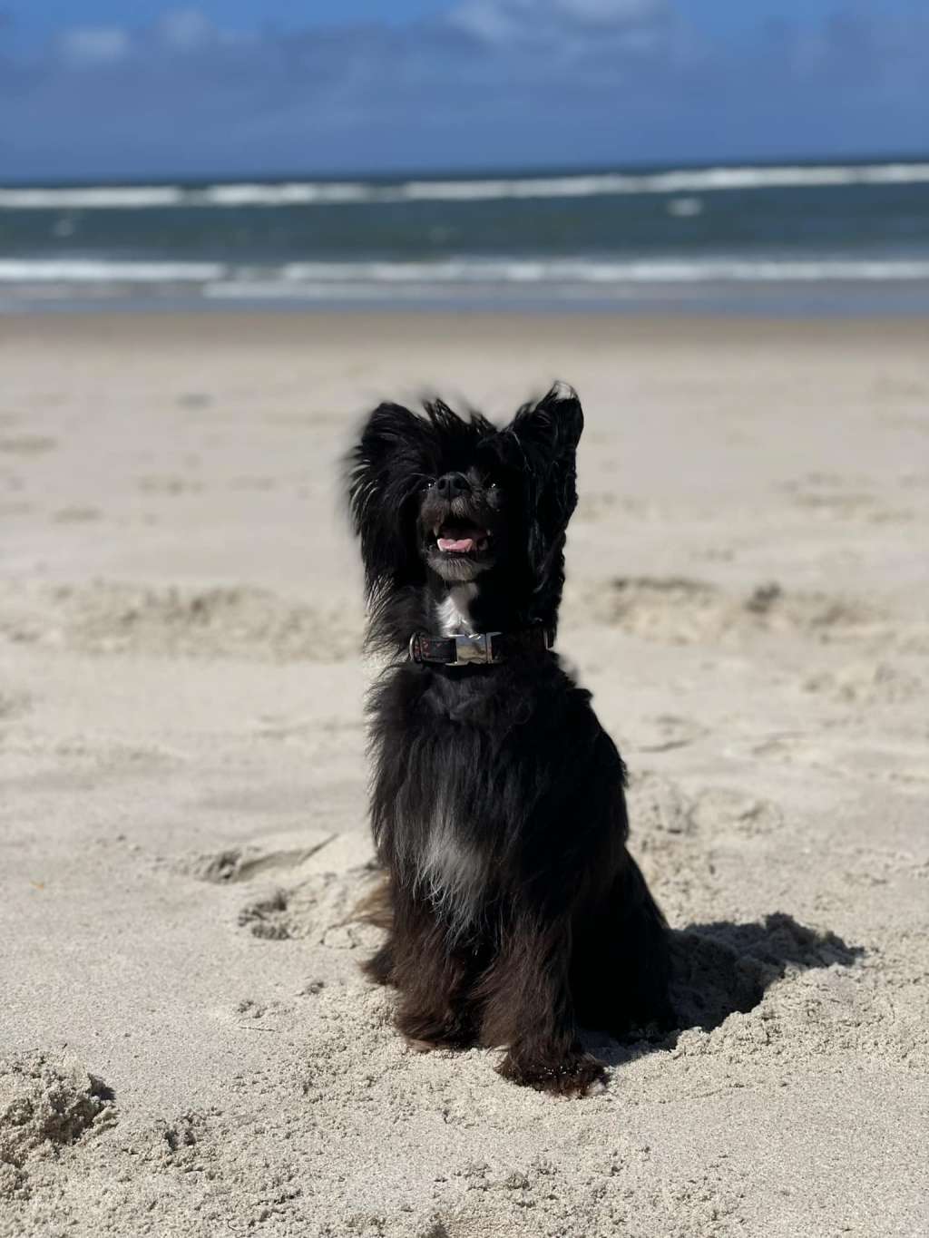 Magic Moon Fairy Loveland Fantasy