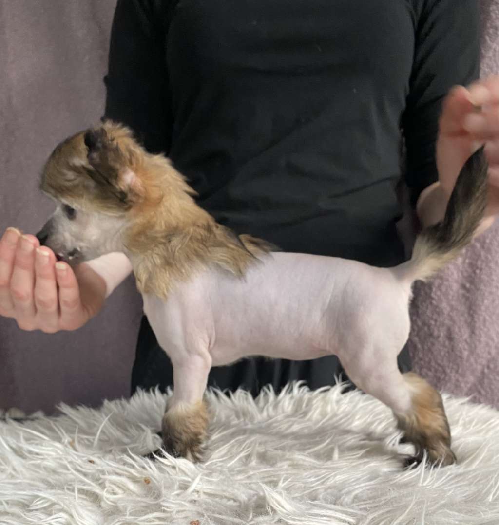 Moelmo's Busy Being Bad