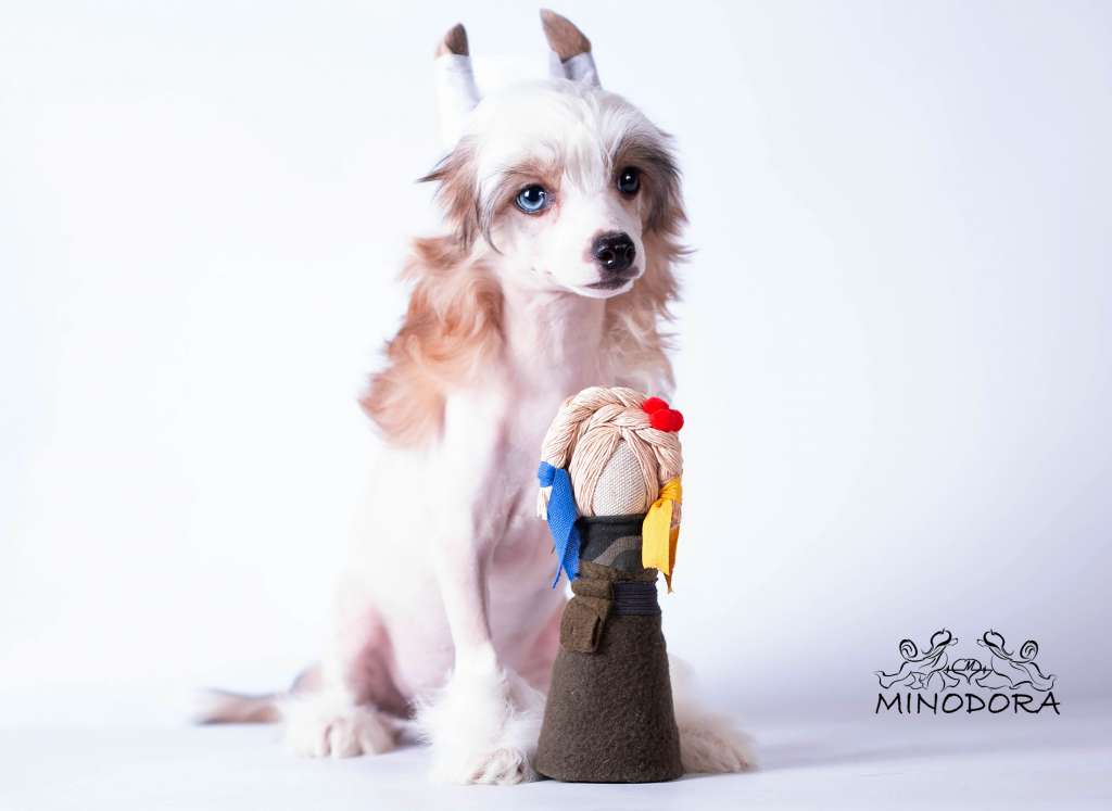 Almaz of My Love Minodora