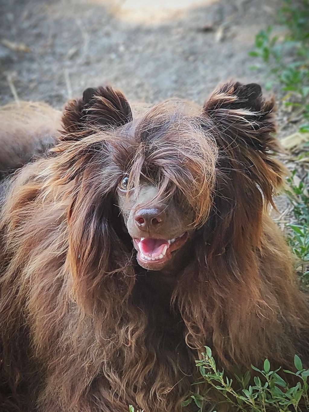 Ocharovatelnaya Odri