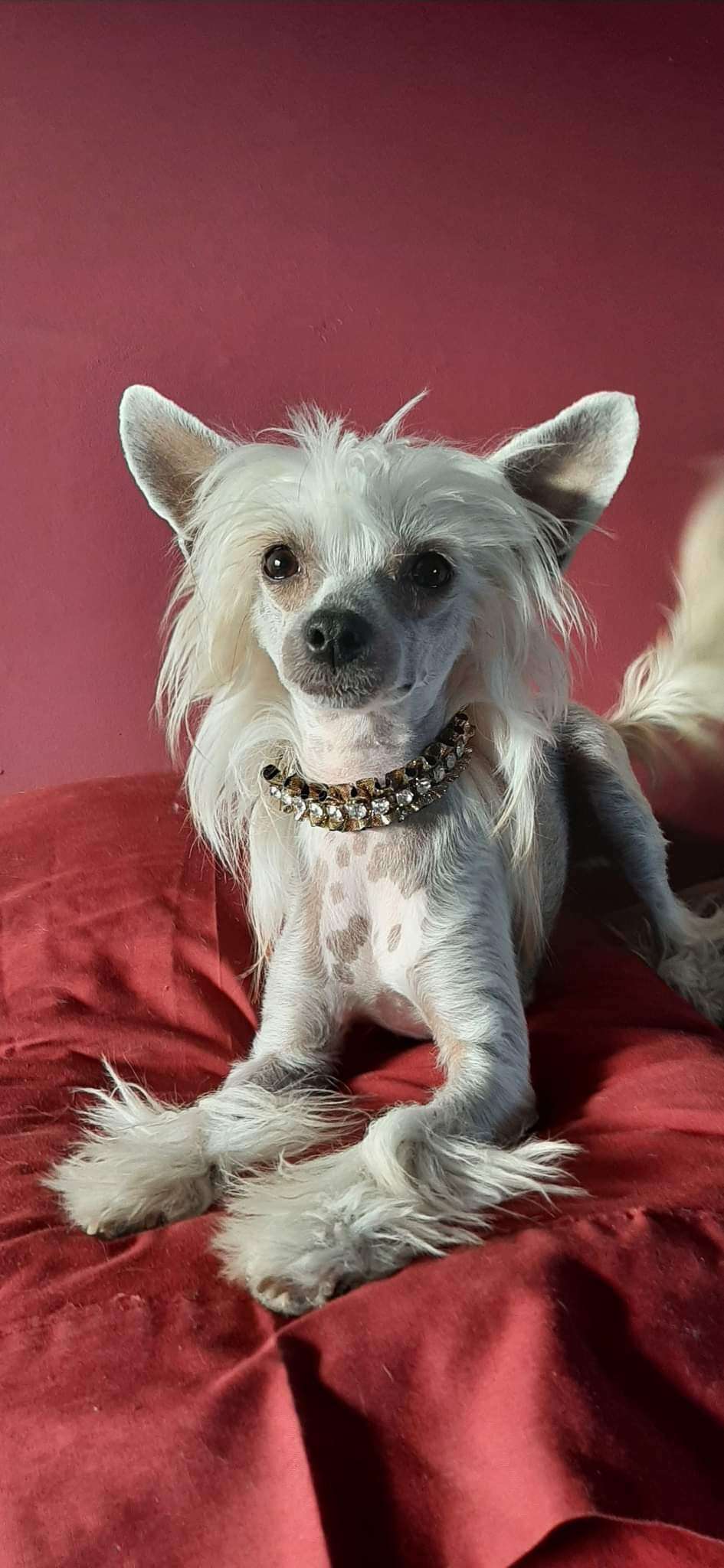 Miniatyura Club Infinity Ruby