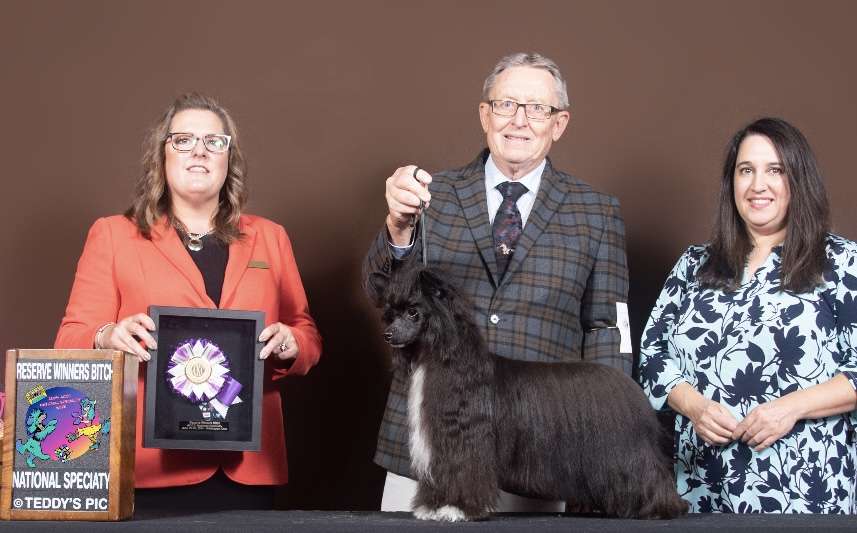 Puffin N Wind Show Me How You Burlesque