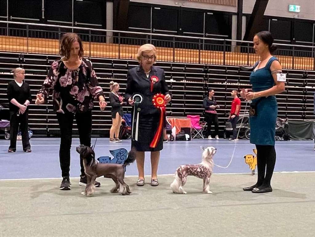 Cerohair no hair don't care