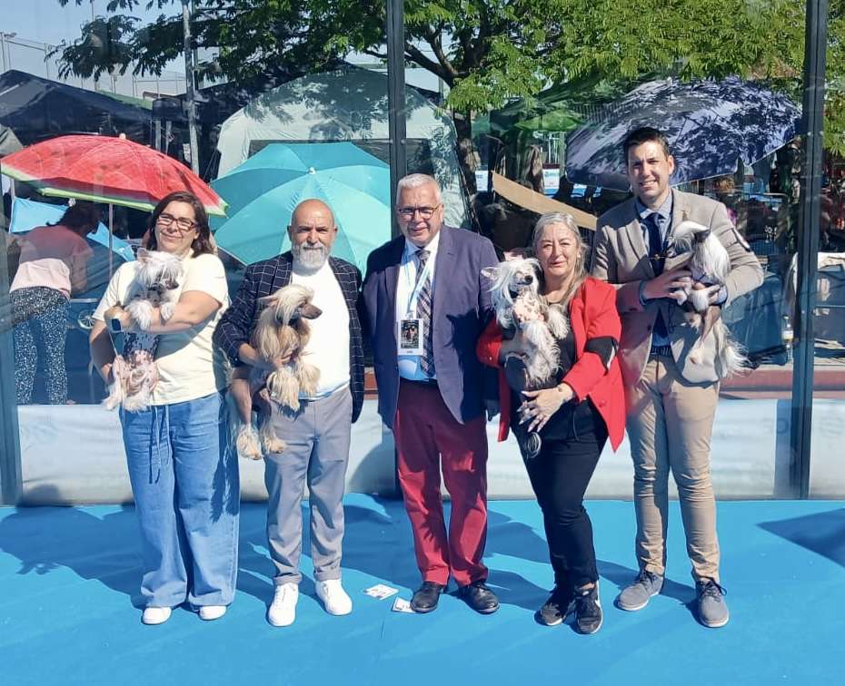 Chic to Chic Morticia