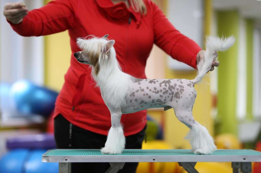 Incanto Del Mondo Eskimo For Energy