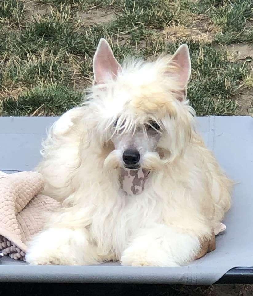 SISSI Caramella's Family