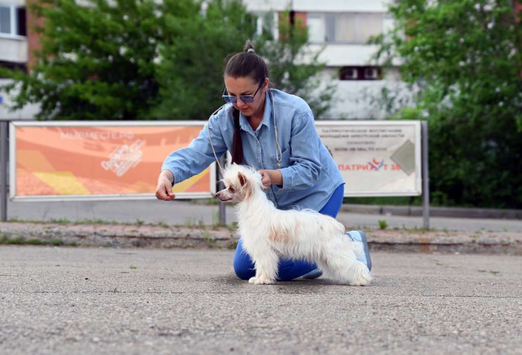 Baikal Dream Power Chocolate