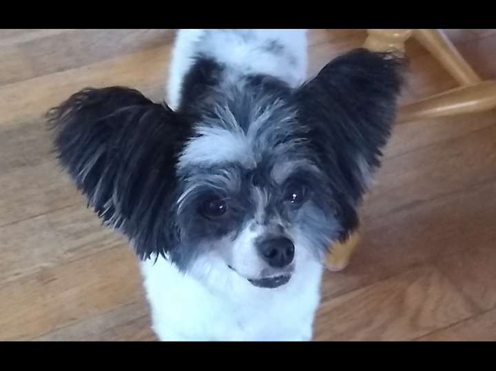 Pangea I'm Cruising Through Block Island Sound