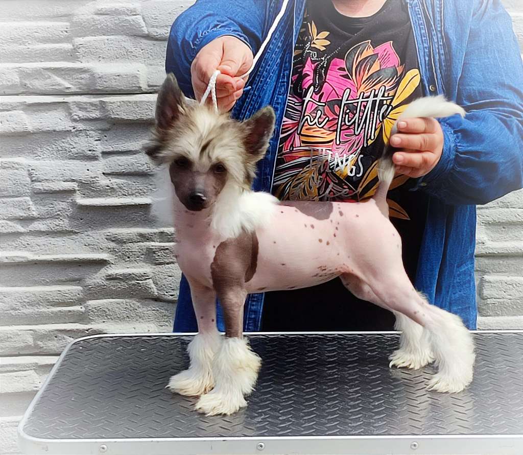 Runa Queen Malverne At Muddiwarx