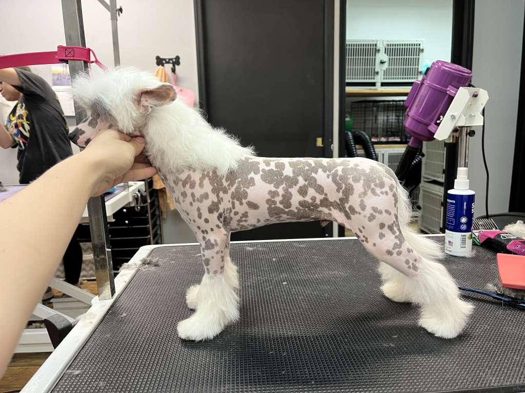 Wizards Game Forever Changed @ Posh