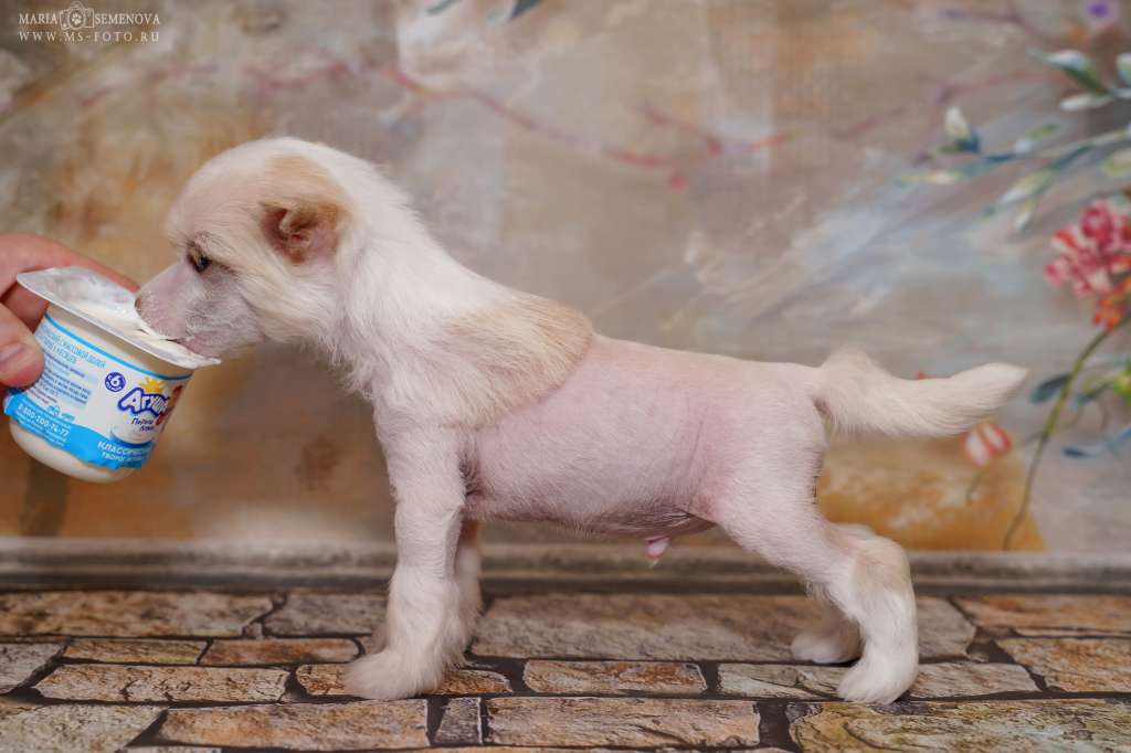 Grand Passage Jalimir