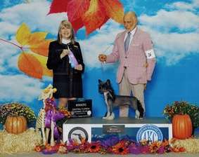 Constance z Jasne hvezdy