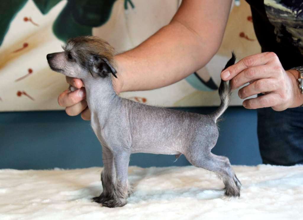 Moon Harbour Ti Wong