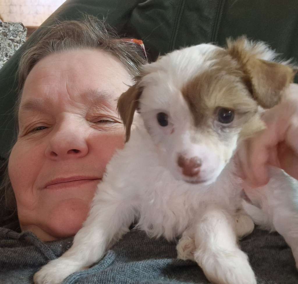 Kryddhundens Maryland Cookie