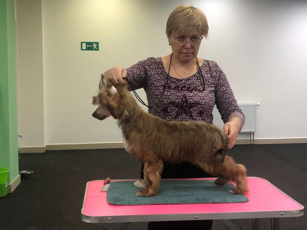 Aurum Time Germiona Greyndzher