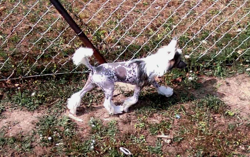 Fundoklia-völgyi Kaszanics Regina