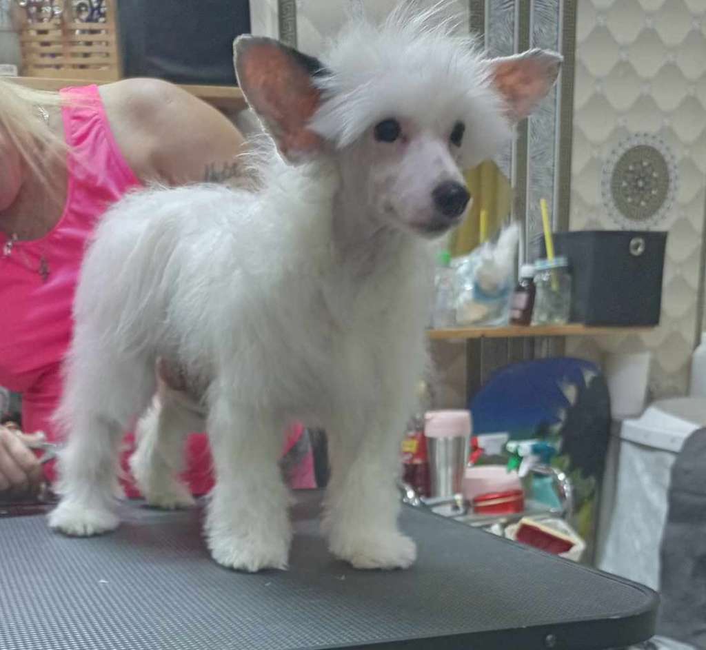 Fundoklia-völgyi Kaszanics Roy