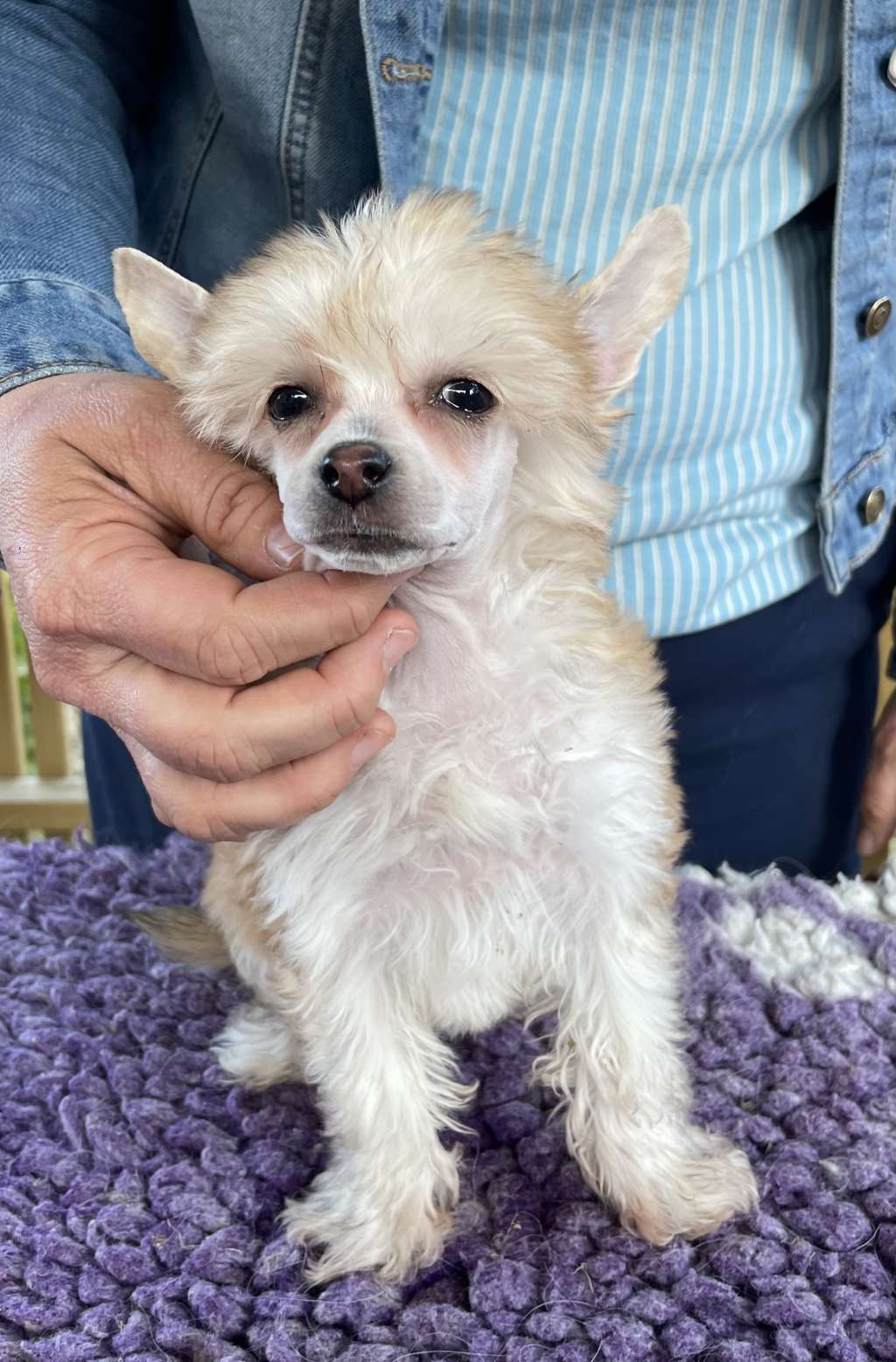 Eventyrvannets Unni Av Utgard