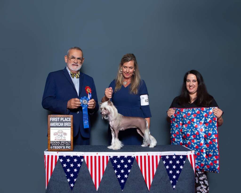 Sunval's Ultimate Vision At Jushae