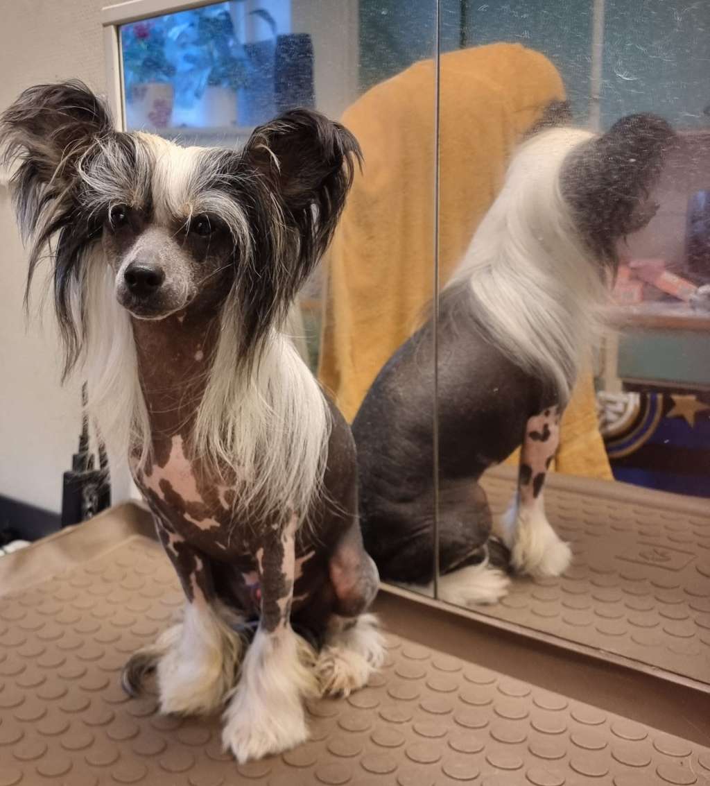 Beachcrest Calvin Clein