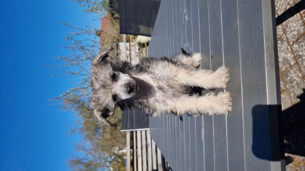 Myrnas Mignon Étoile Hot ? Holy